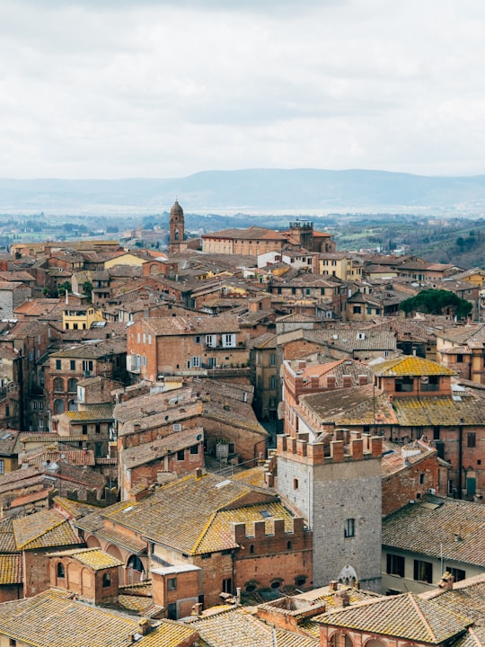 aerial view of brown house in Siena Italy