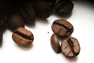 Several dark, roasted coffee beans are scattered across a white surface, with some beans appearing more prominently in the foreground. The rich brown tones of the beans contrast with the stark background, highlighting their texture and natural sheen.