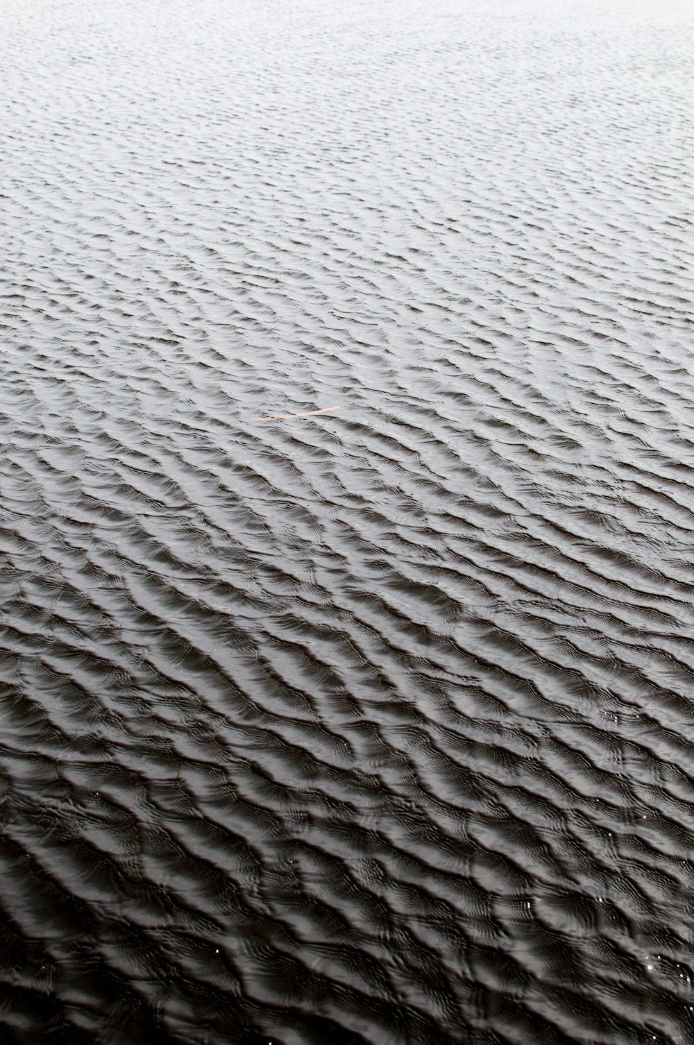 close view of sea water