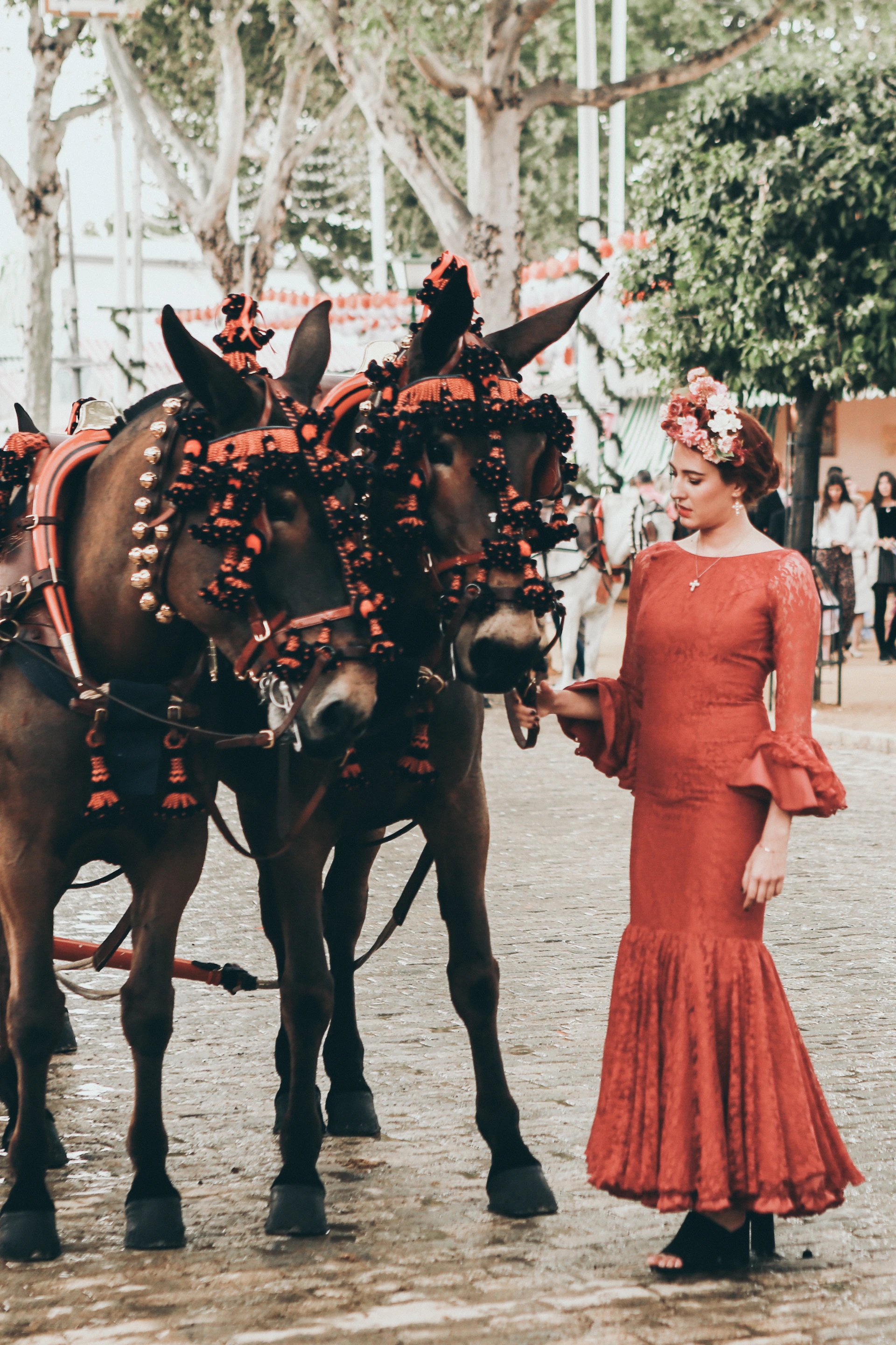woman beside brown horses during daytime