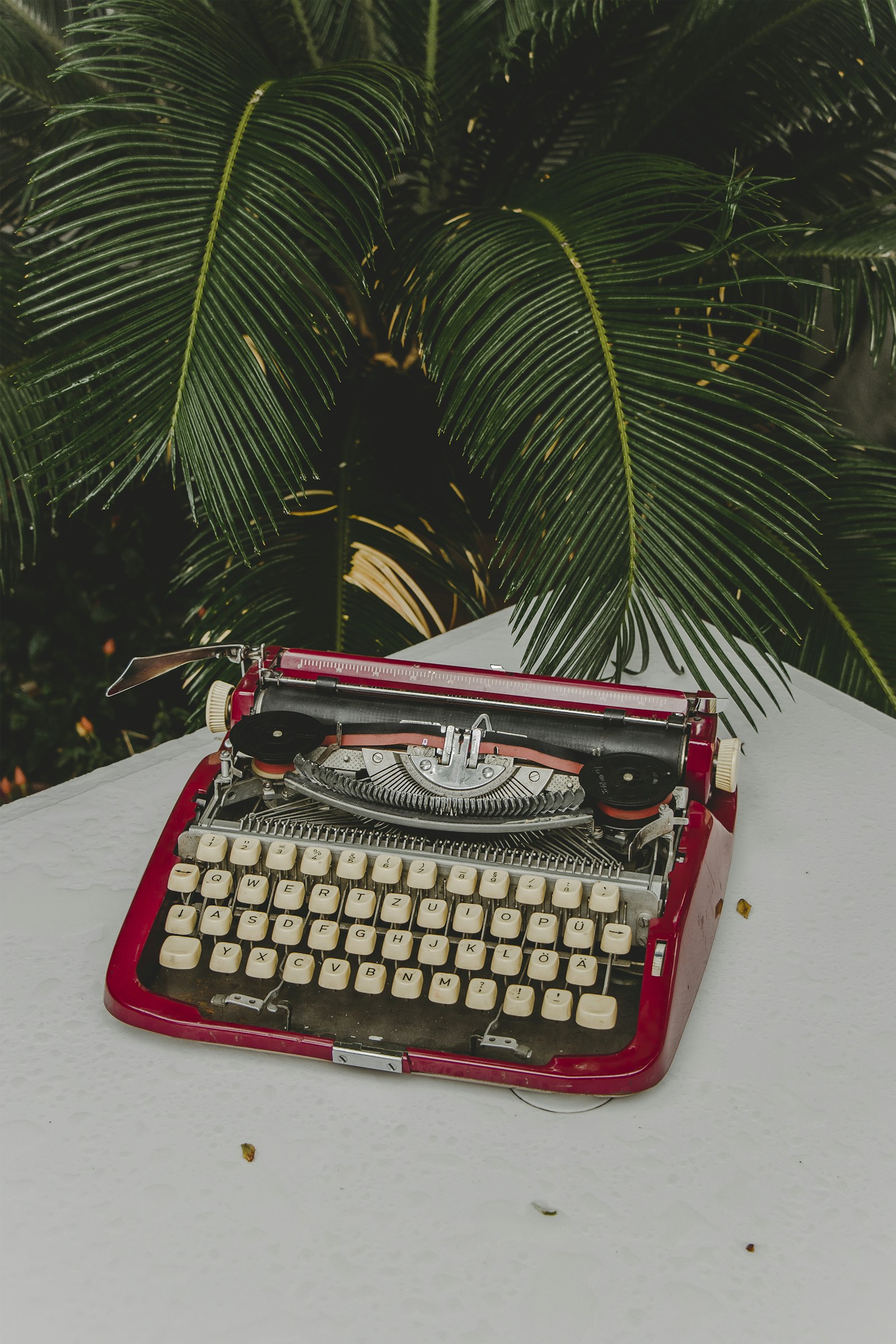 Canon EOS 77D (EOS 9000D / EOS 770D) + Canon EF-S 18-135mm F3.5-5.6 IS USM sample photo. Red and gray typewriter photography