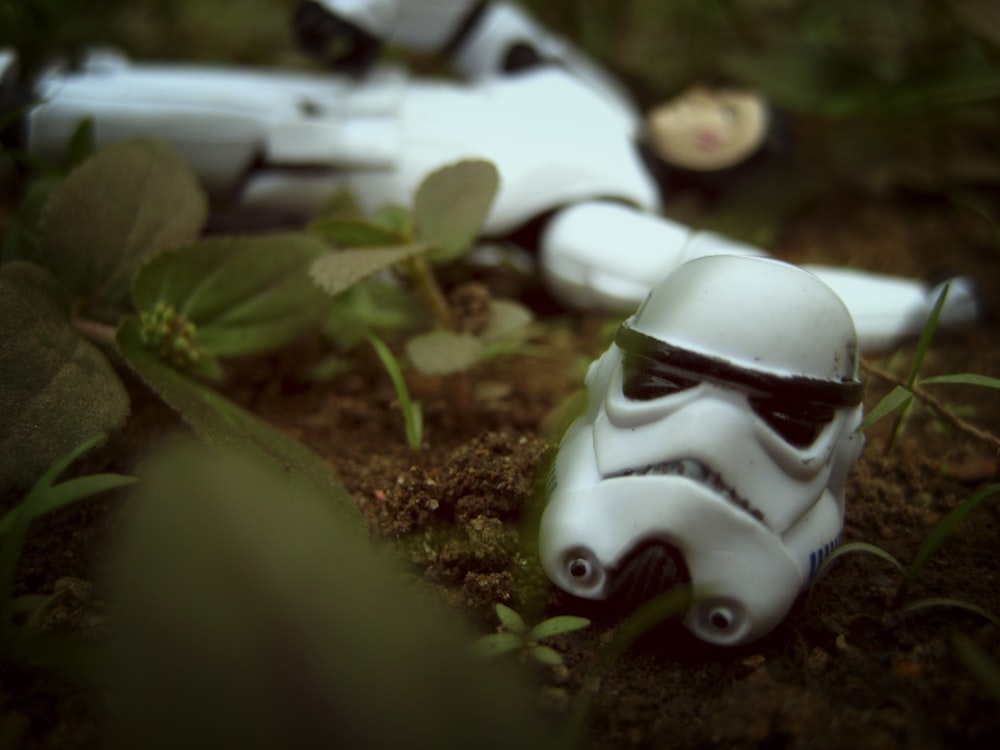 Star Wars Stormtrooper head costume on brown soil