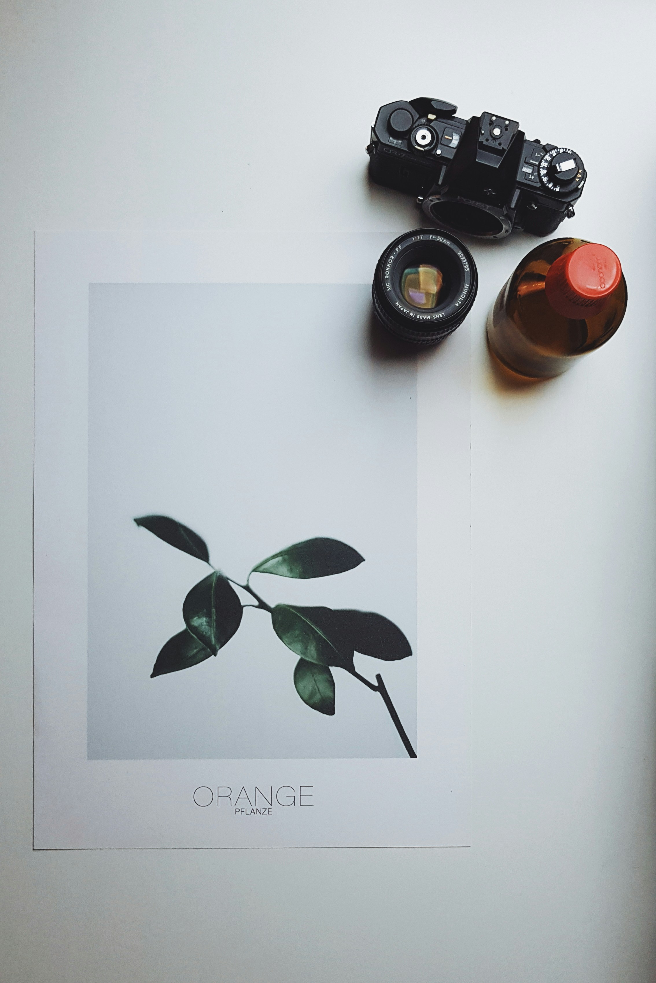 How To Eat For Oxalate Reduction Without Nutrient Deficiency