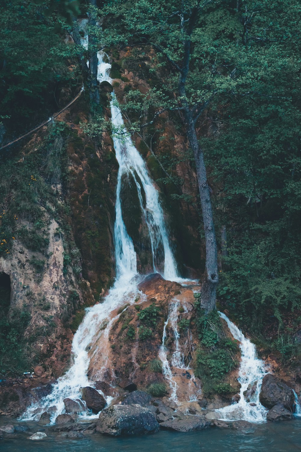 waterfalls near tree