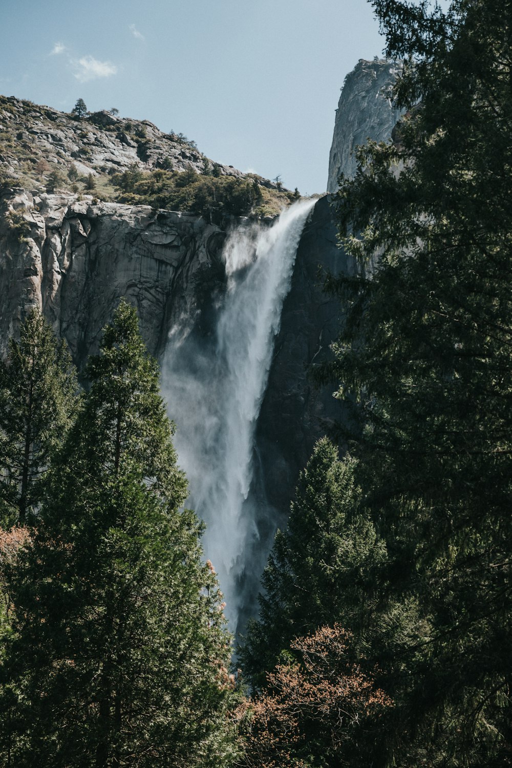 waterfalls surrounded with trees and mountain