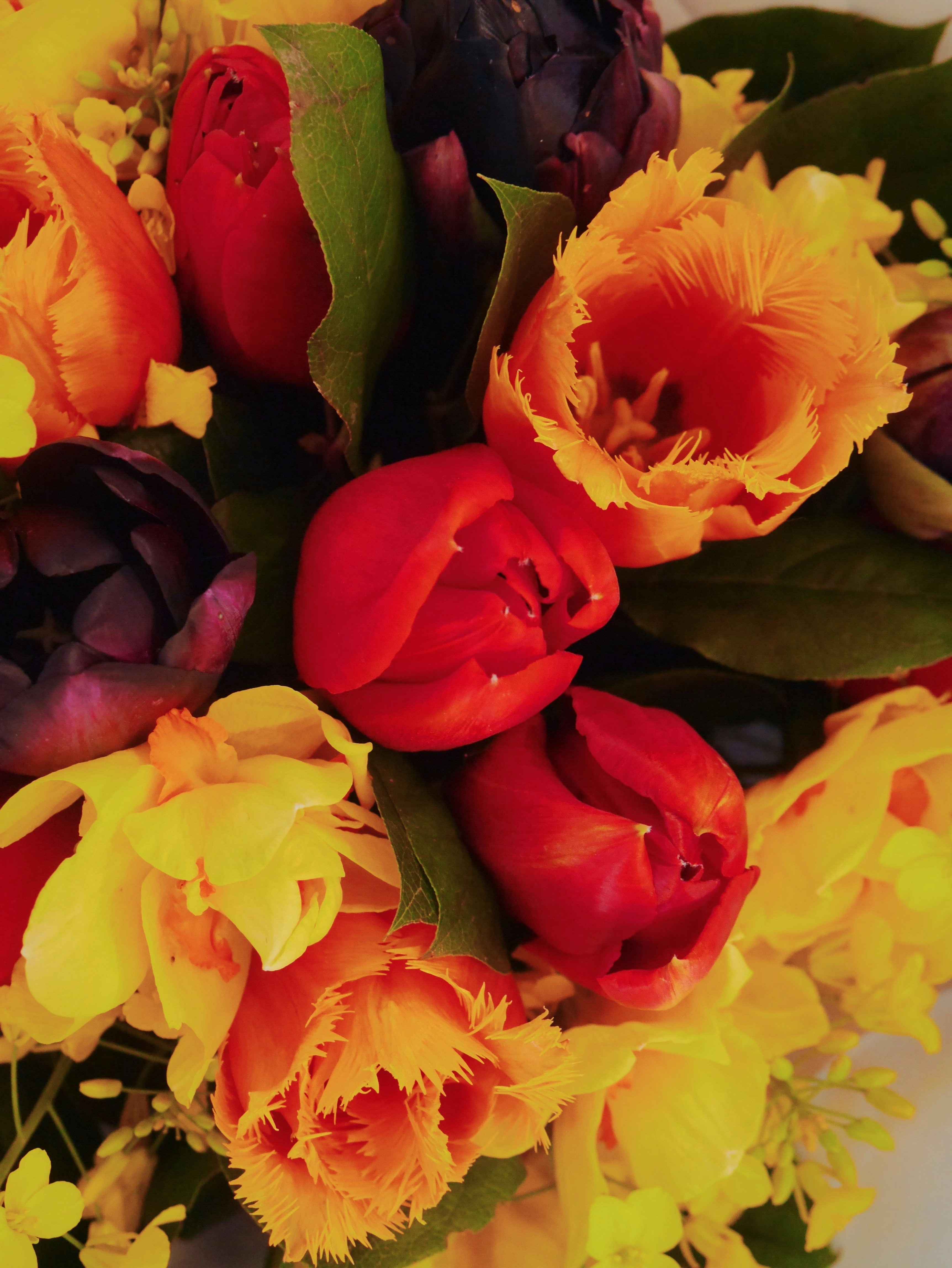 Golden yellow tulips in a bright cheerful spring bouquet