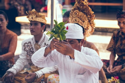 man holding green plant