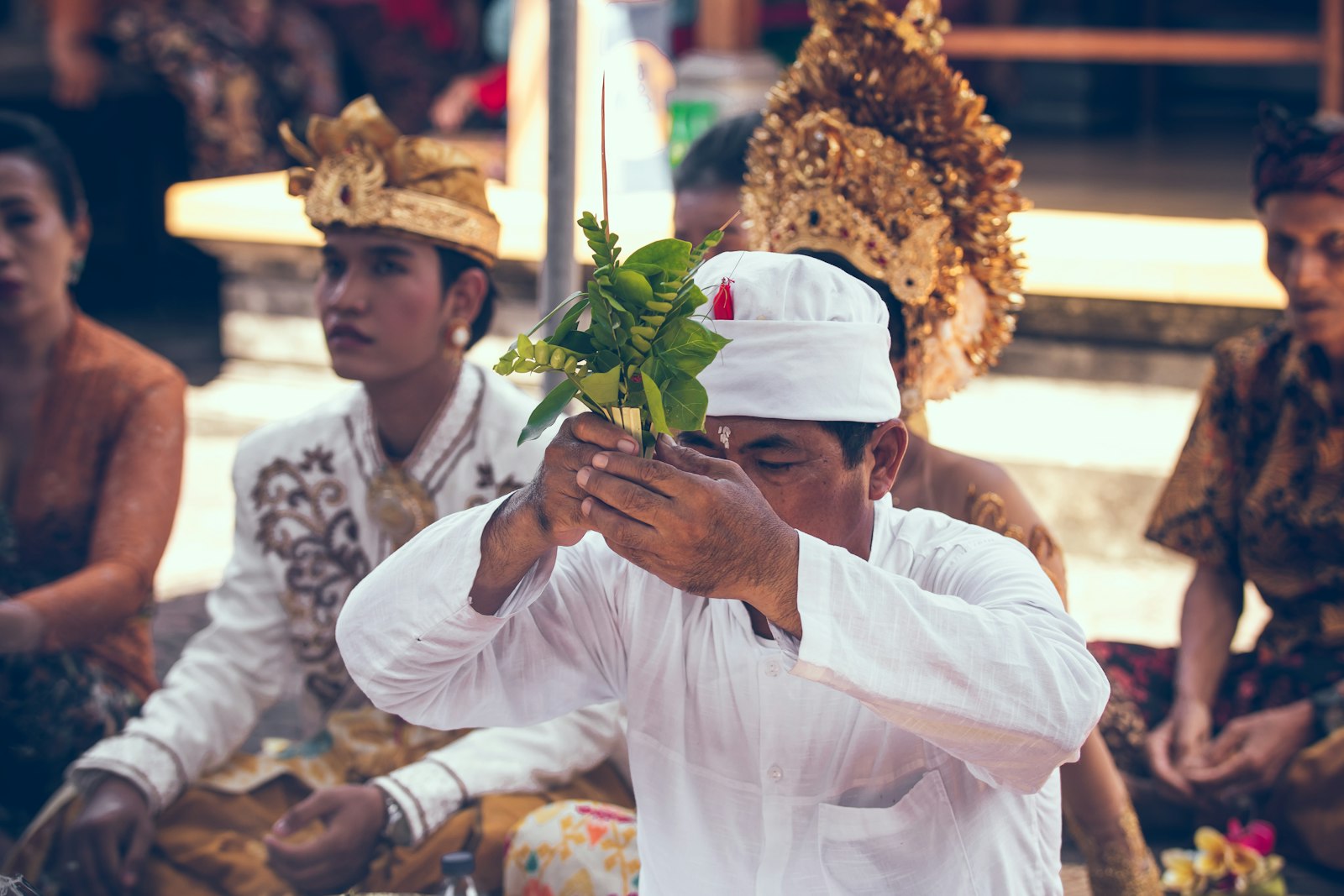 Sigma 50-100mm F1.8 DC HSM Art sample photo. Man holding green plant photography