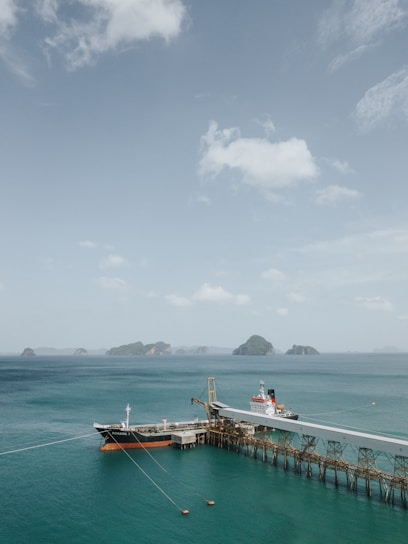 green and white boat with beside brown dock