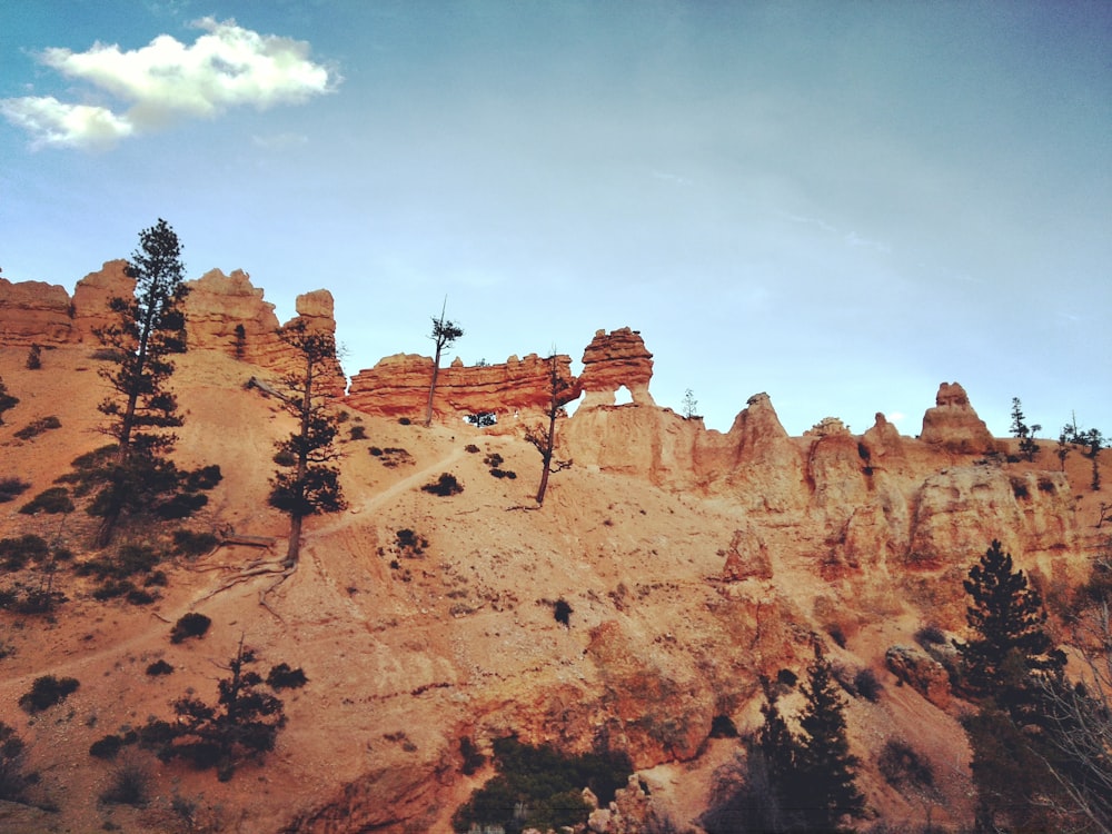 trees beside mountains at daytime