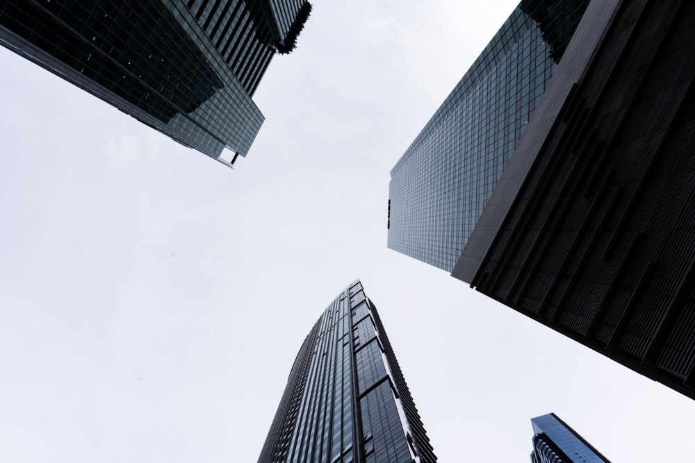 structural shot of buildings