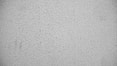 a black and white photo of a textured surface
