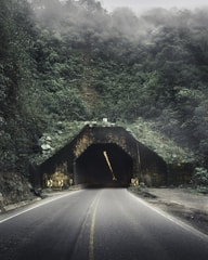 a road going into a tunnel in the middle of a forest