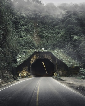 a road going into a tunnel in the middle of a forest