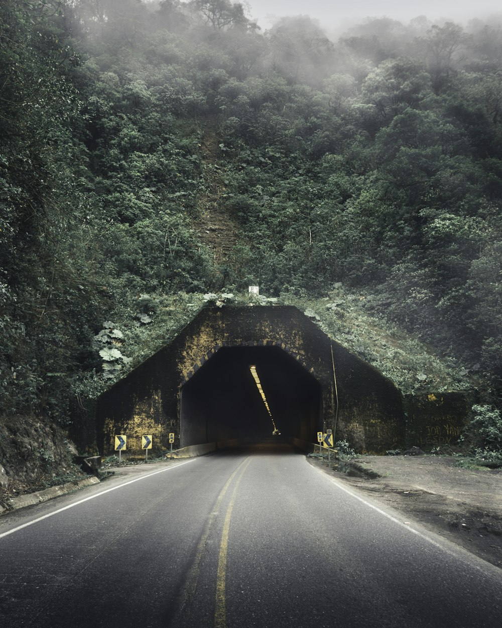 a road going into a tunnel in the middle of a forest