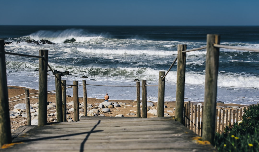 brown wooden dock on sea during daytime