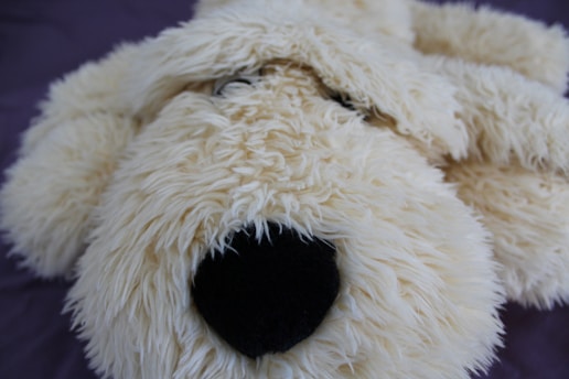 A close-up of a fluffy, cream-colored plush toy resembling a dog with a pronounced black nose. The texture of the fur is shaggy and soft, covering the toy's face and eyes.