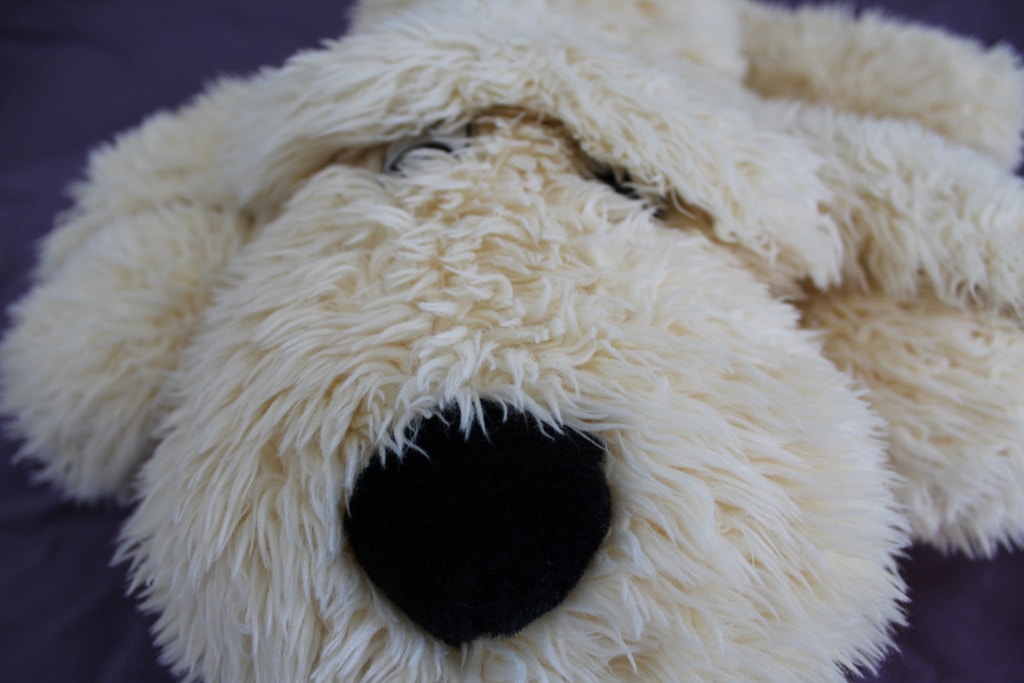 Cuddle Cloud Plush Toy