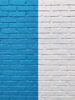 Freshly painted walls with proper care instructions for maintaining paint quality