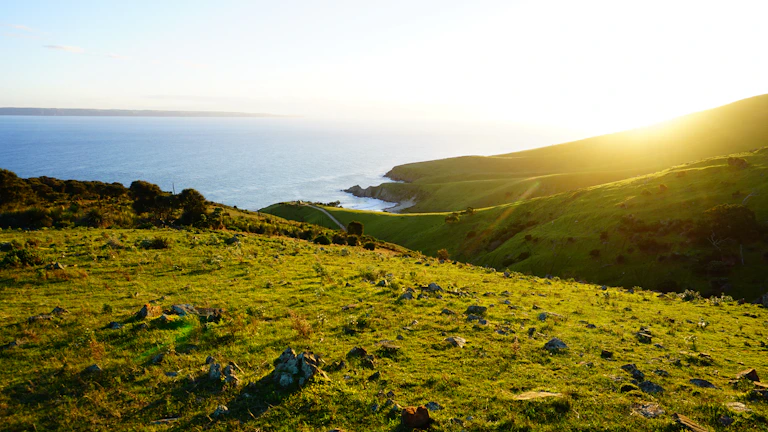A sunlit hillside plot with lush greenery and distant ocean views.
