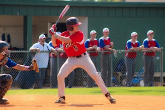 baseball playing posing to hit ball