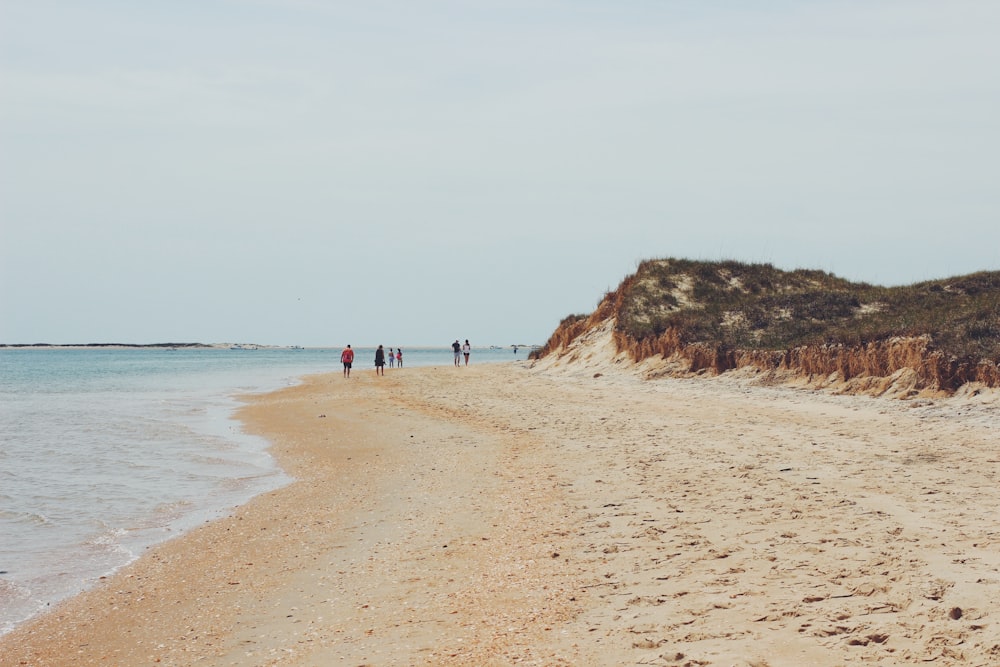 group of people walking on shore beside beach