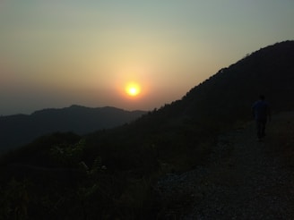 A serene sunrise over the rolling hills of the Camino de Santiago, with a lone pilgrim walking along the path.