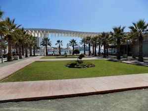 A landscaped area with a central green lawn surrounded by palm trees and paved walkways. There is a modern architectural structure providing shade, and in the background, a view of the waterfront with several people and buildings visible.