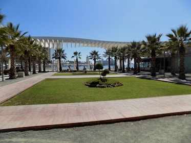 A landscaped area with a central green lawn surrounded by palm trees and paved walkways. There is a modern architectural structure providing shade, and in the background, a view of the waterfront with several people and buildings visible.