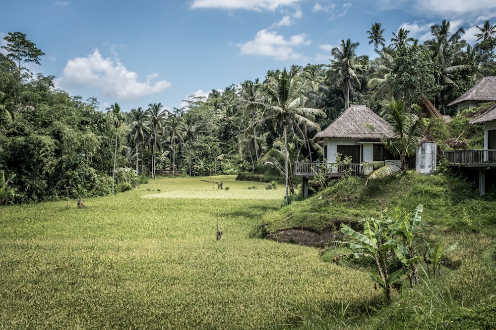 landscape photography of house surrounded by trees