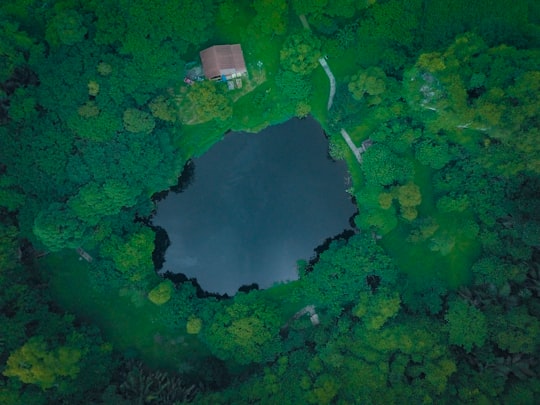 aerial photo of a body of water between trees in Ipoh Malaysia