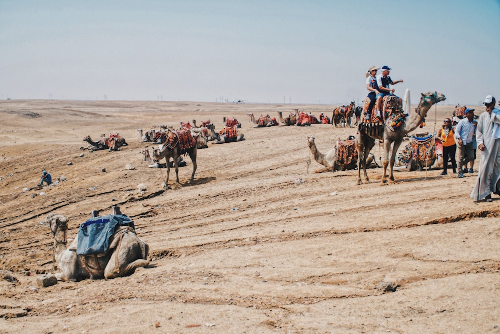 Pessoas montando camelo no deserto