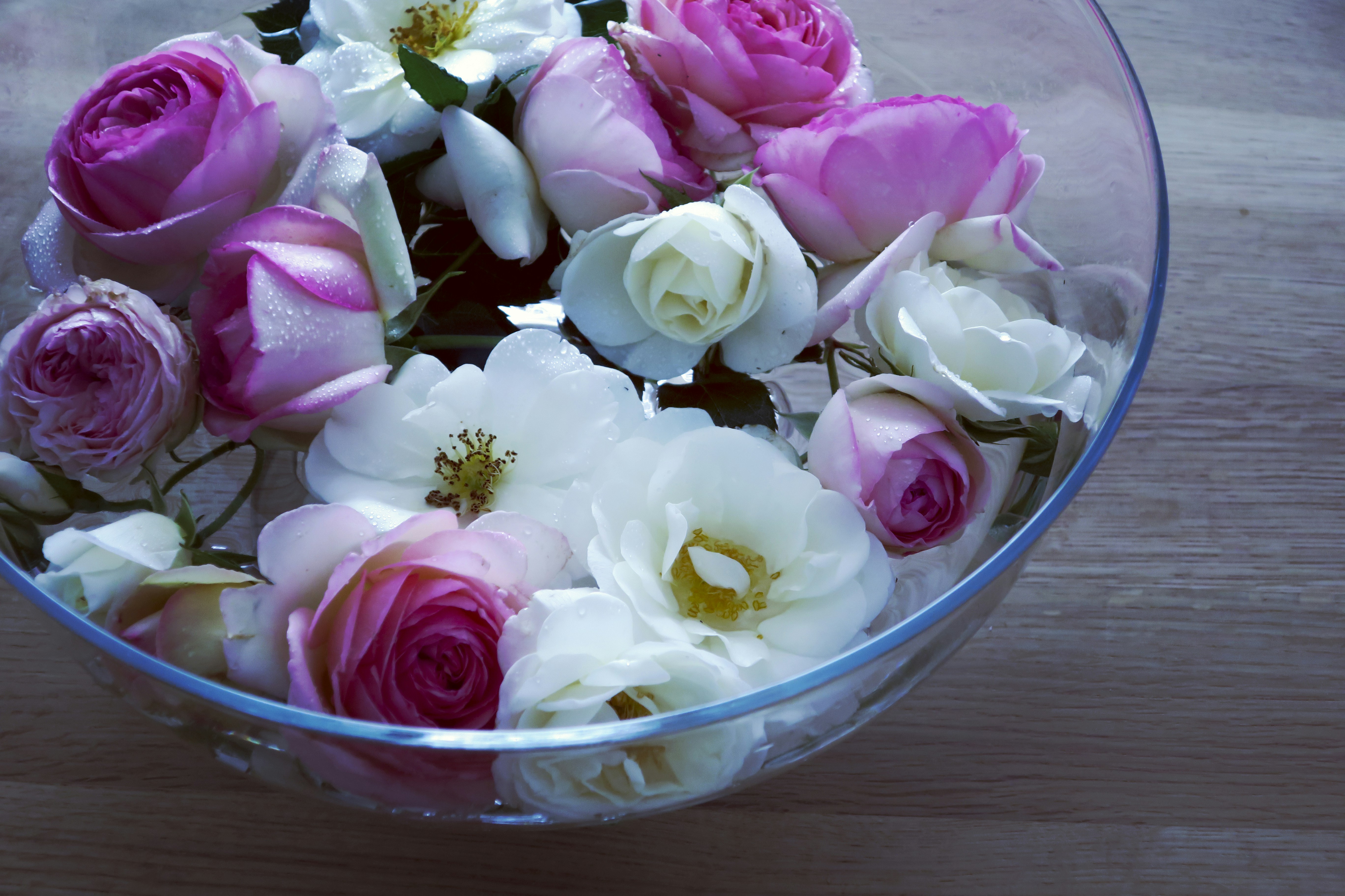 Tall glass cylinder centerpiece with white roses and trailing amaranthus