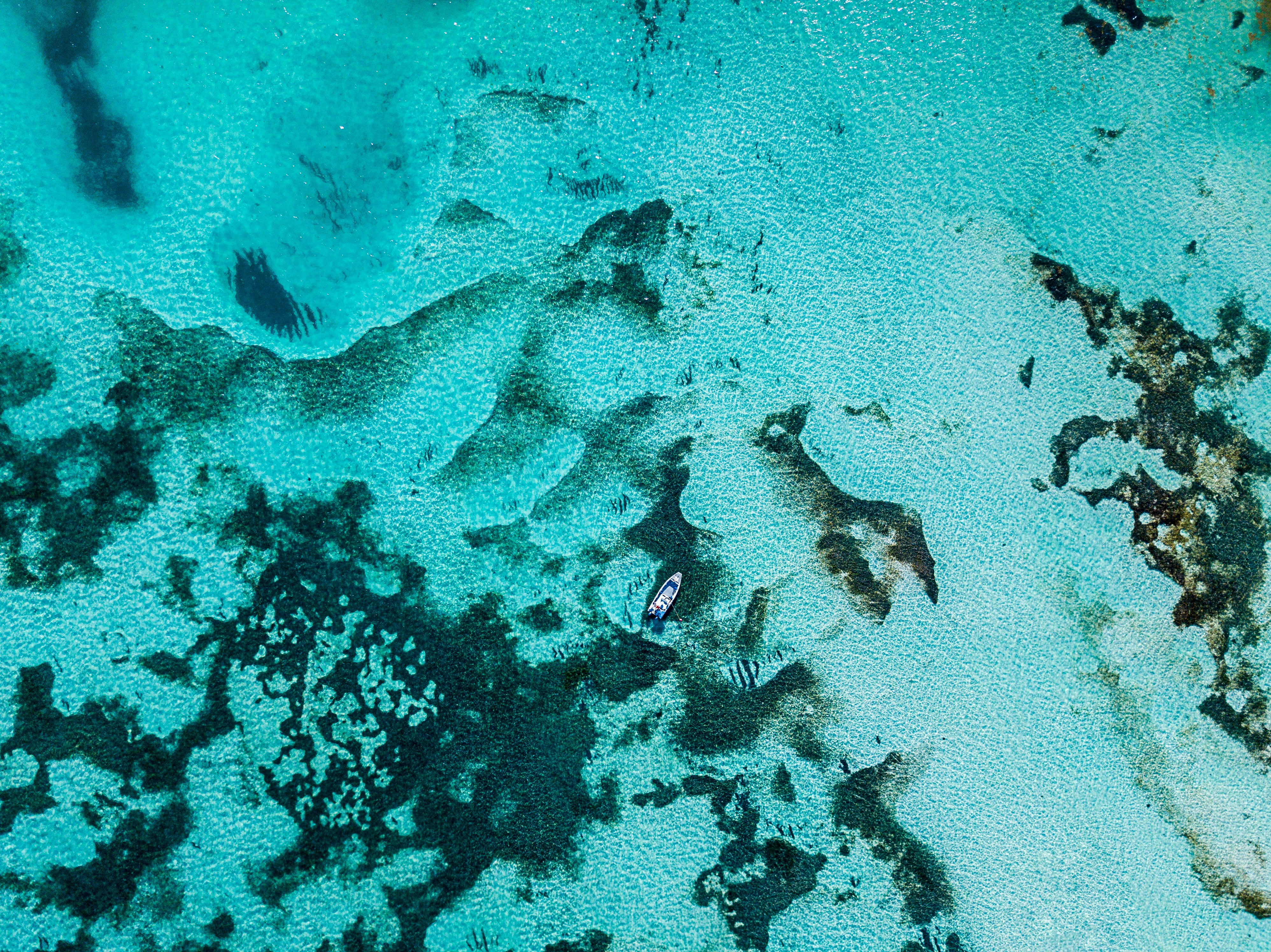 a bird's eye view of a sandy beach