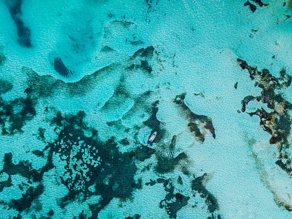 a bird's eye view of a sandy beach