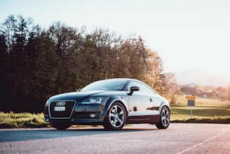 black Audi coupe parked on gray concrete road