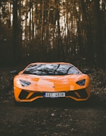 orange Lamborghini car
