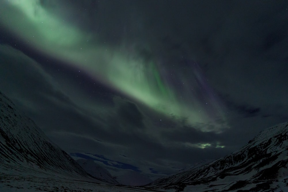 a green and purple aurora bore in the sky