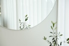 green leafed plant