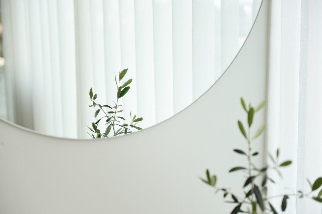  green leafed plant mirror