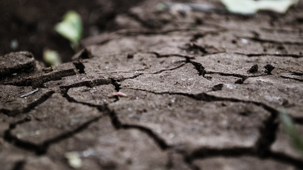 Close-up view of dry, cracked soil suggesting drought or arid conditions. The earthy surface is marked by numerous fissures with a slightly blurred background.