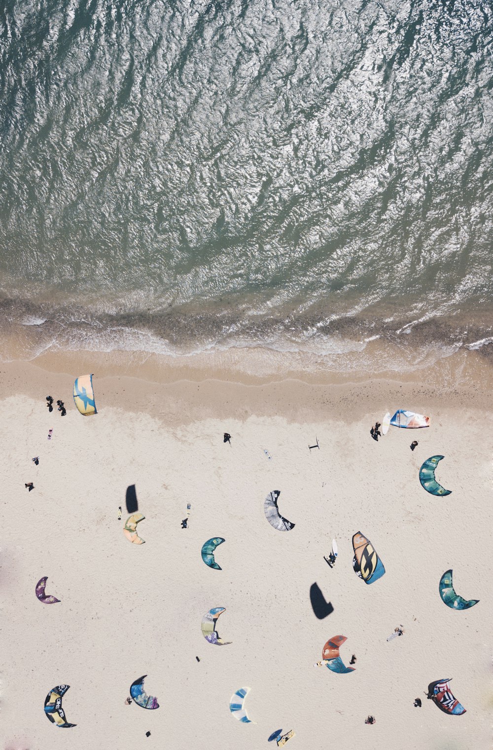 people paragliding near the shore