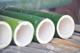 Several hollow green bamboo stalks are laid out horizontally on a wooden surface, each showing a cross-section of their interior.