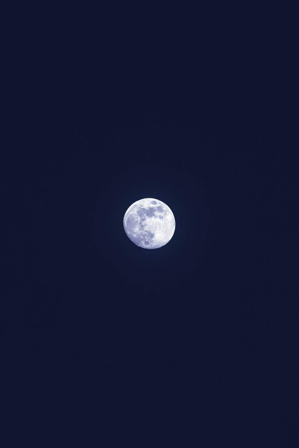 photo of moon