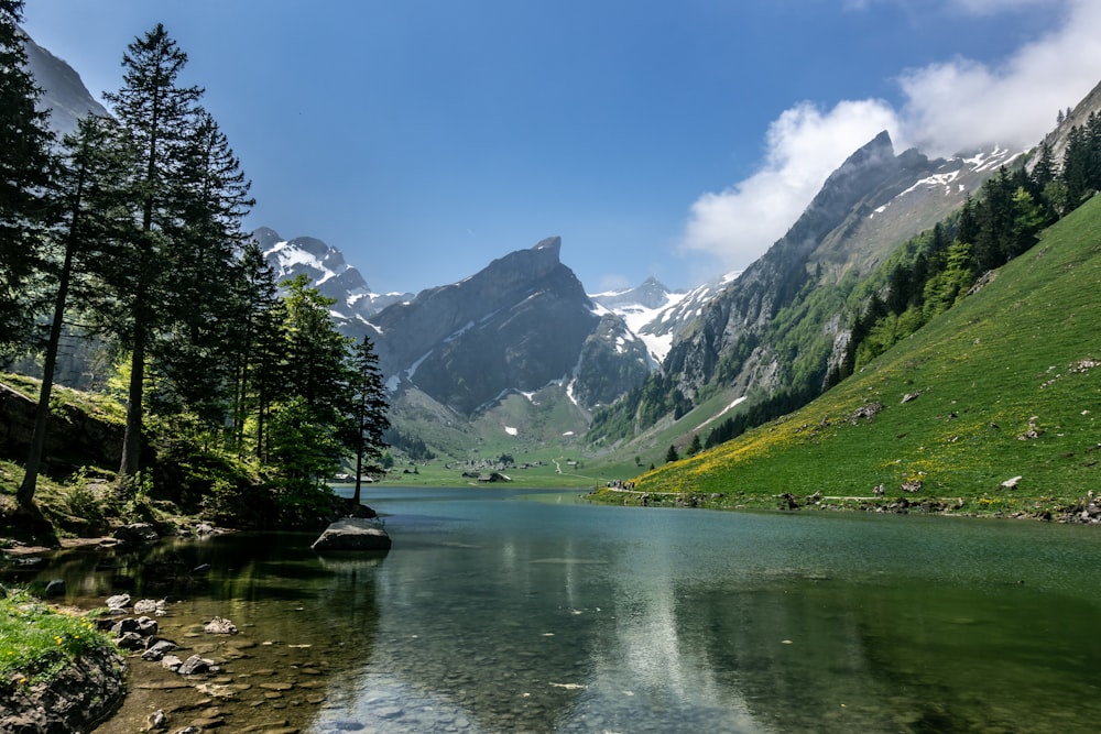 a mountain lake surrounded by trees and grass