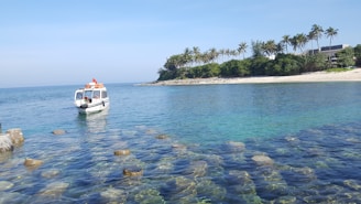 A sleek motorboat cruising along the turquoise waters near Mallorca’s coastline under a clear blue sky.