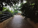 A pathway made of interlocking stones surrounded by lush, tropical plants on either side. A wooden bench is positioned at the end of the path, inviting a moment of rest. Metal railings line the path, providing a structured boundary. The ambient light is soft, filtered through the surrounding foliage.