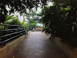 Sunlit garden path lined with native plants and rustic wooden benches at Rancho El Centenario.