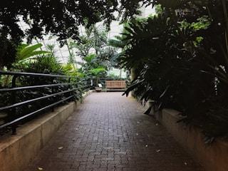 A pathway made of interlocking stones surrounded by lush, tropical plants on either side. A wooden bench is positioned at the end of the path, inviting a moment of rest. Metal railings line the path, providing a structured boundary. The ambient light is soft, filtered through the surrounding foliage.