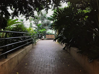 A pathway winding through native plants leading to an open-air pavilion.